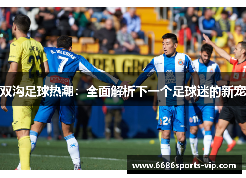 双沟足球热潮：全面解析下一个足球迷的新宠